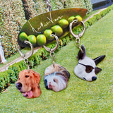 upload your own ~ picto-pet