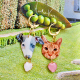 upload your own ~ picto-pet