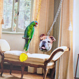 upload your own ~ picto-pet