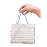 dear diary charmie bag - pick your picto-charms™