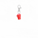 dear diary keychain - pick your picto-charms™