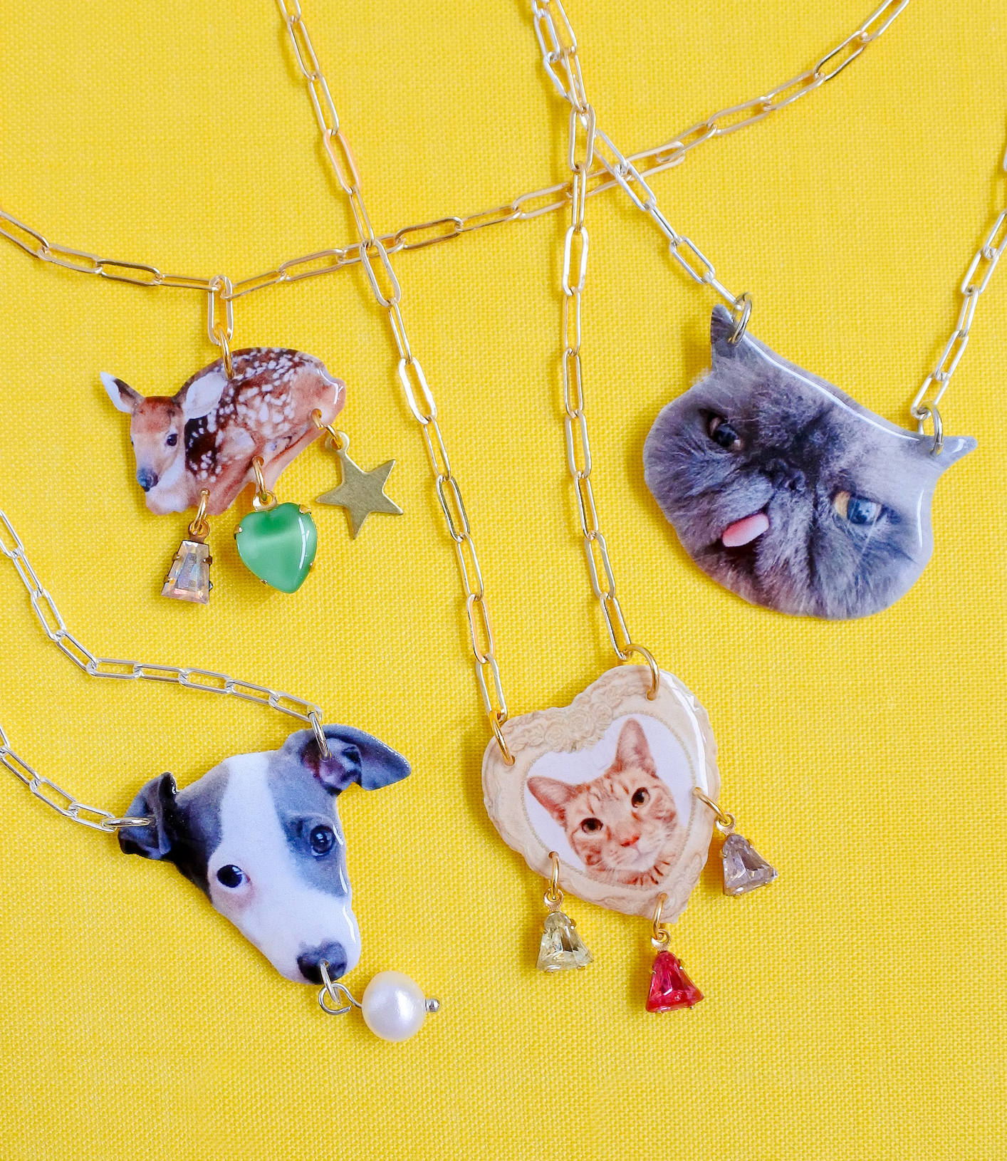 pet shop