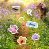 in full bloom picto-stickers