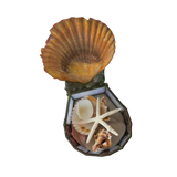 1/1 barnacle box trinket holder