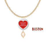 boston secret menu ♡ pick & mix picto-charms™