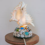1/1 très soleil lamp