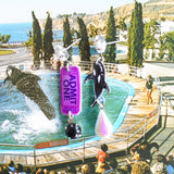 splash zone dangle set