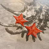 starfish secrets studs