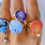 1/1 sand dollar ring