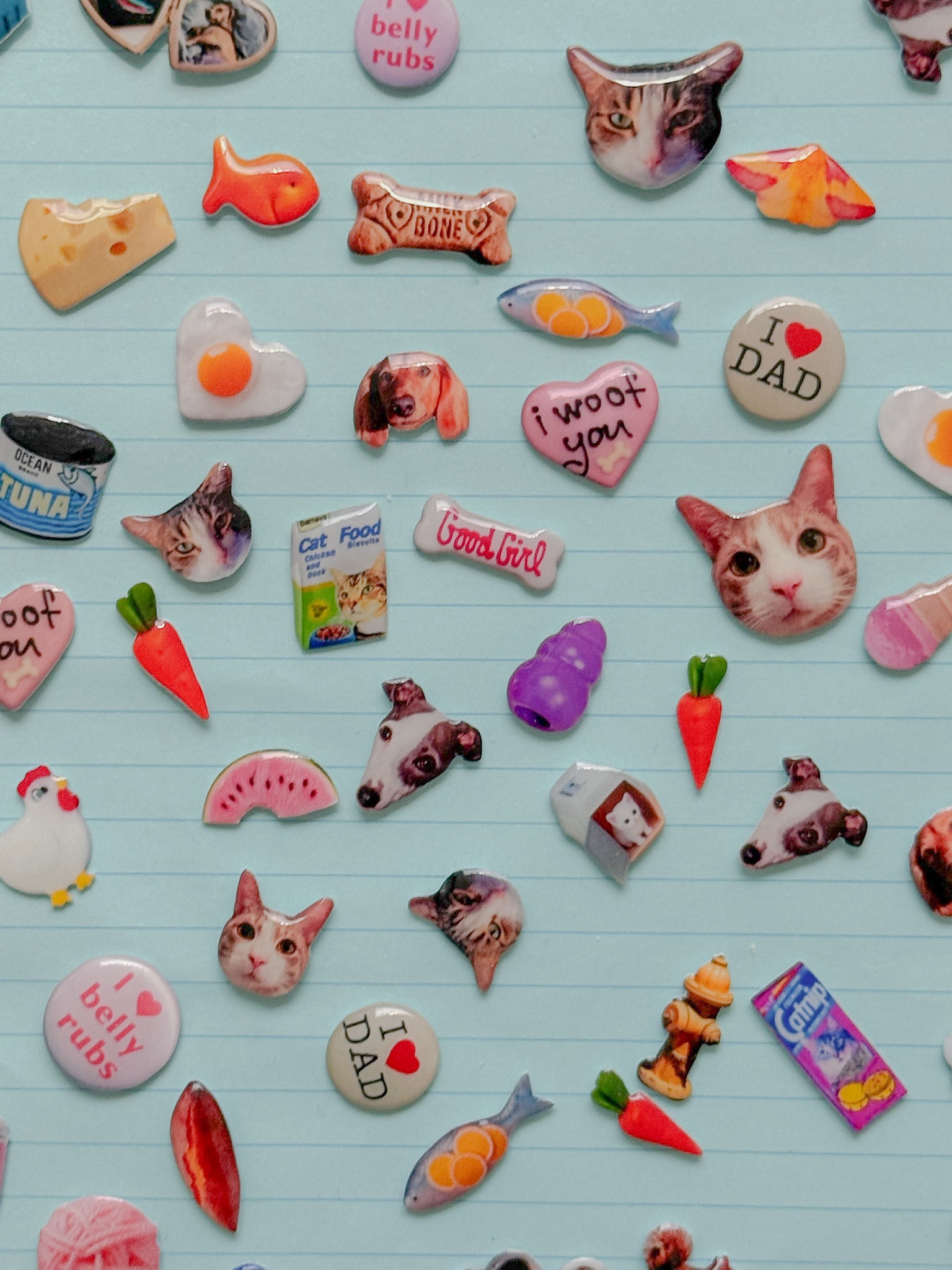 my pet's favorite things