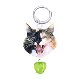 upload your own ~ picto-pet