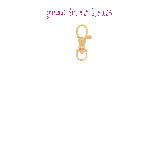 grandma's house keychain - pick your picto-charms™