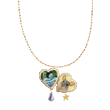 double picto-pet open locket ~ pendant necklace