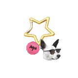 picto-pet carabiner ♡ pick your picto-charms™